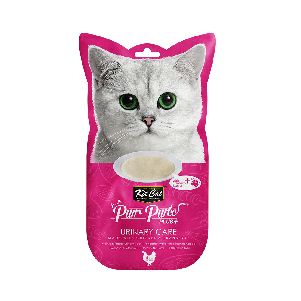 Cat puree outlet