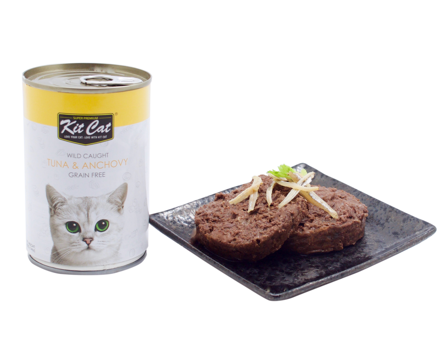 Cat food png. Kit Cat корм для кошек. The Wild консервы для кошек. Кошачий корм клипарт. Кошачий корм PNG.