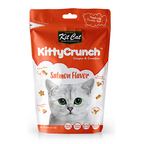 crunchy kitty