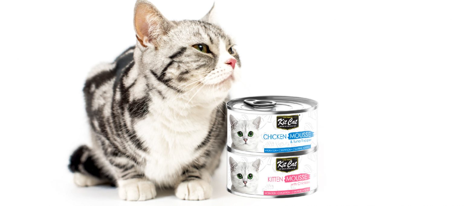 Kit Cat Mousse Canned Food 80g - Kit Cat International Pte Ltd