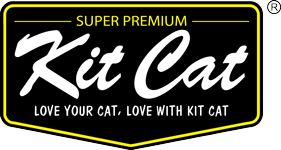Kit Cat International Pte Ltd