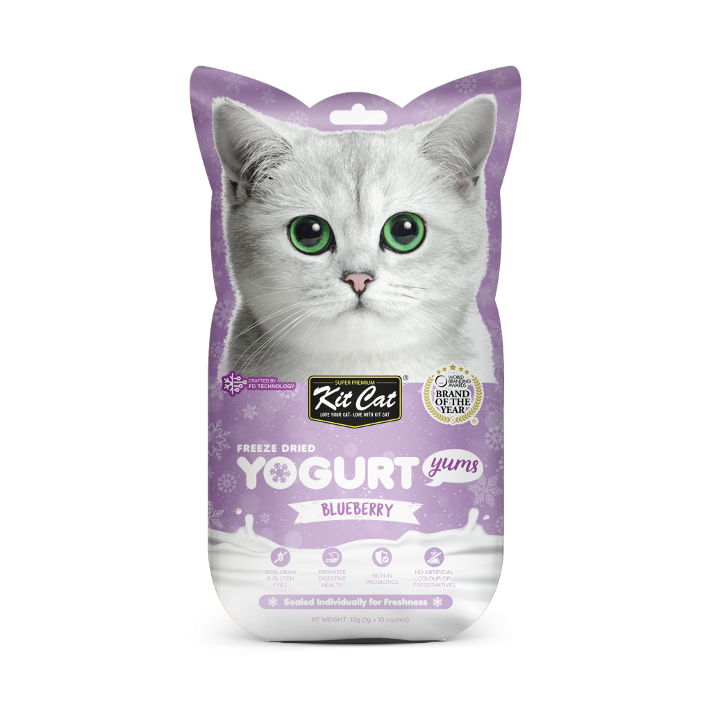 My cat loves yogurt sale