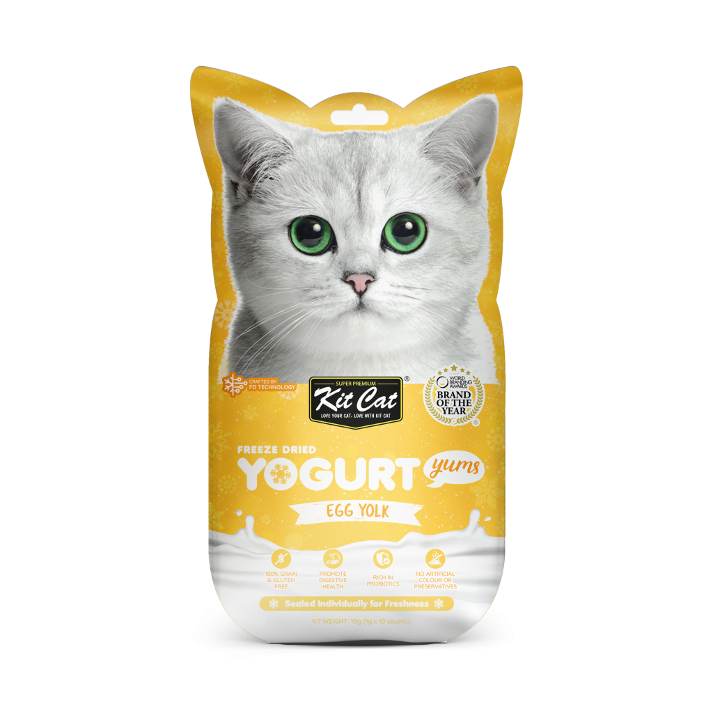 Egg yolk 2025 for kittens