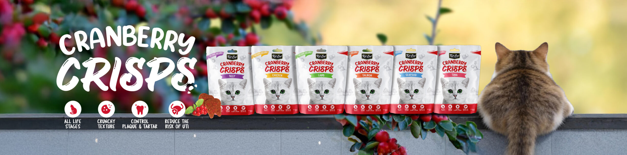 Kit Cat Cranberry Crisp